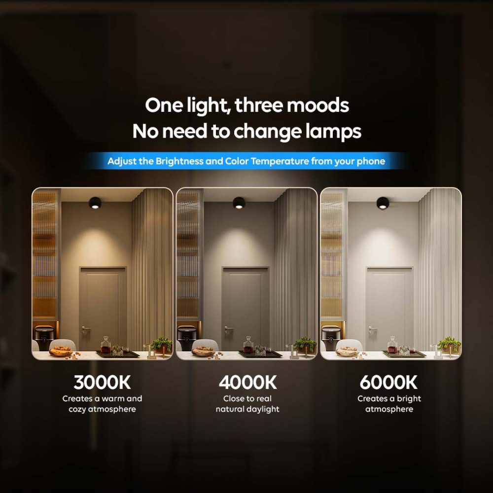 5. PRODUCT FEATURES-2-ADJUSTABLE BRIGHTNESS & COLOR TEMPERATURE